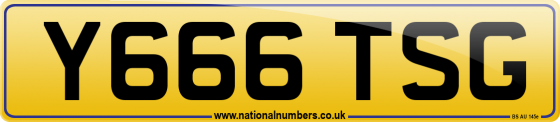Y666 TSG