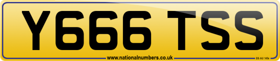 Y666 TSS