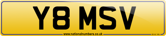 Y8 MSV
