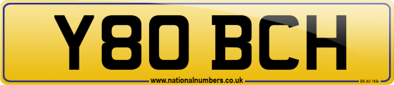 Y80 BCH