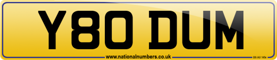 Y80 DUM