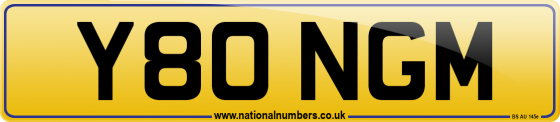 Y80 NGM