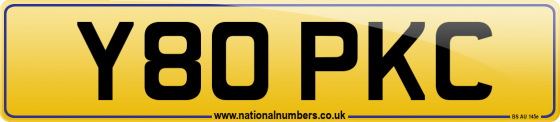 Y80 PKC