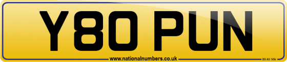 Y80 PUN