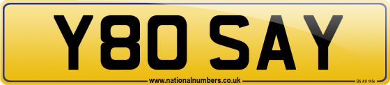 Y80 SAY