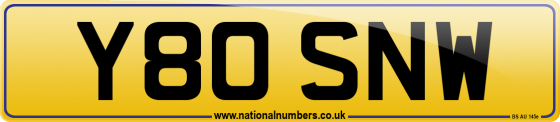 Y80 SNW