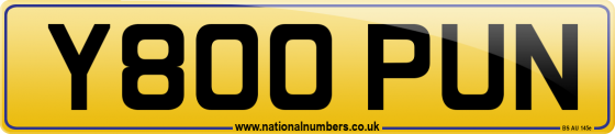 Y800 PUN
