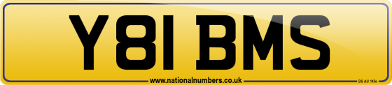 Y81 BMS