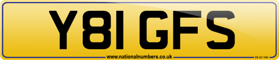 Y81 GFS