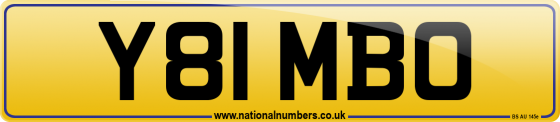 Y81 MBO