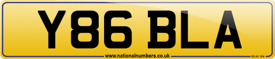 Y86 BLA