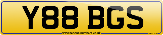 Y88 BGS