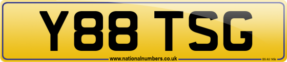Y88 TSG