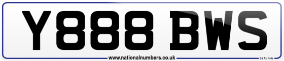 Y888 BWS