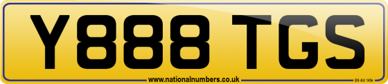 Y888 TGS