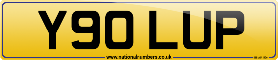 Y90 LUP