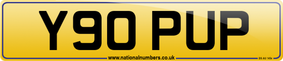 Y90 PUP