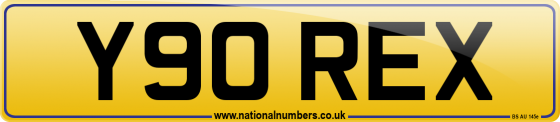 Y90 REX