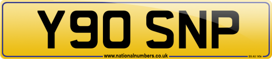 Y90 SNP