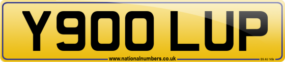 Y900 LUP