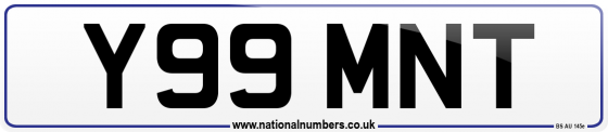 Y99 MNT