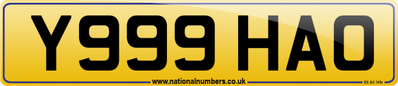 Y999 HAO