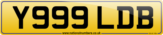 Y999 LDB