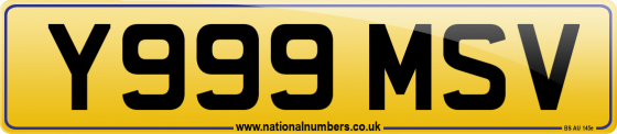 Y999 MSV
