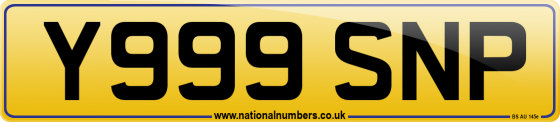 Y999 SNP