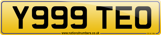 Y999 TEO