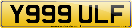 Y999 ULF