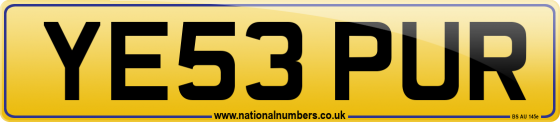 YE53 PUR