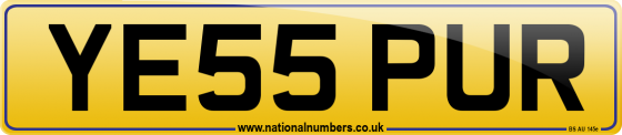 YE55 PUR