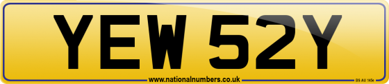 YEW 52Y