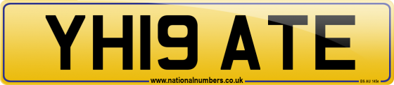 YH19 ATE