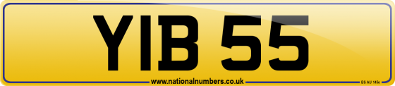 YIB 55