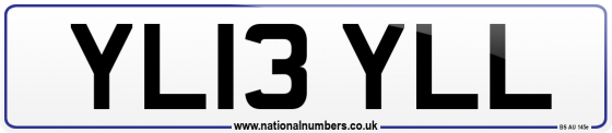 YL13 YLL