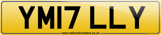YM17 LLY