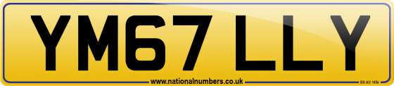 YM67 LLY