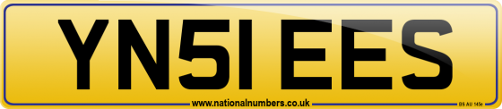 YN51 EES