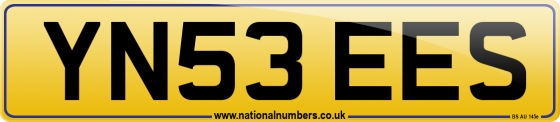 YN53 EES