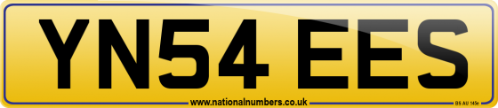 YN54 EES