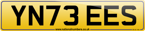 YN73 EES