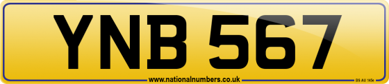 YNB 567