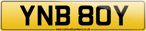YNB 80Y