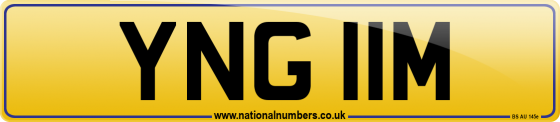 YNG 11M