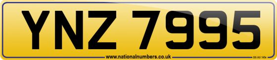 YNZ 7995