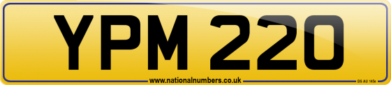 YPM 220