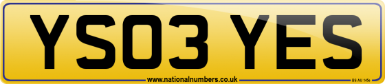 YS03 YES