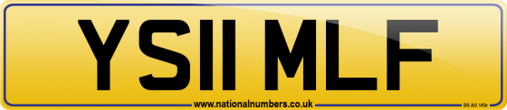 YS11 MLF